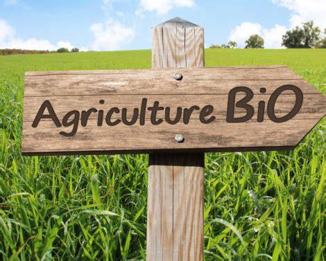 Transition vers l'agriculture biologique