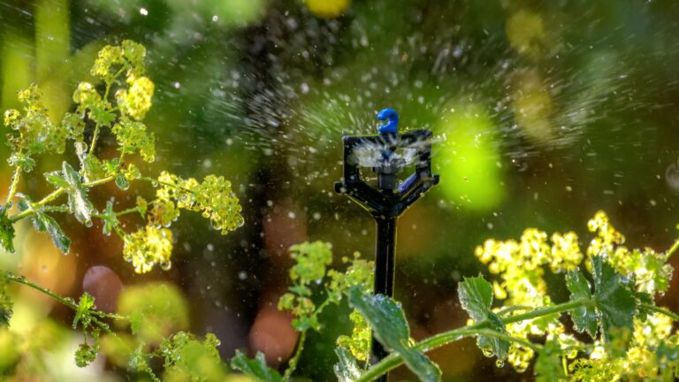 Gestion optimale de l'eau d'irrigation